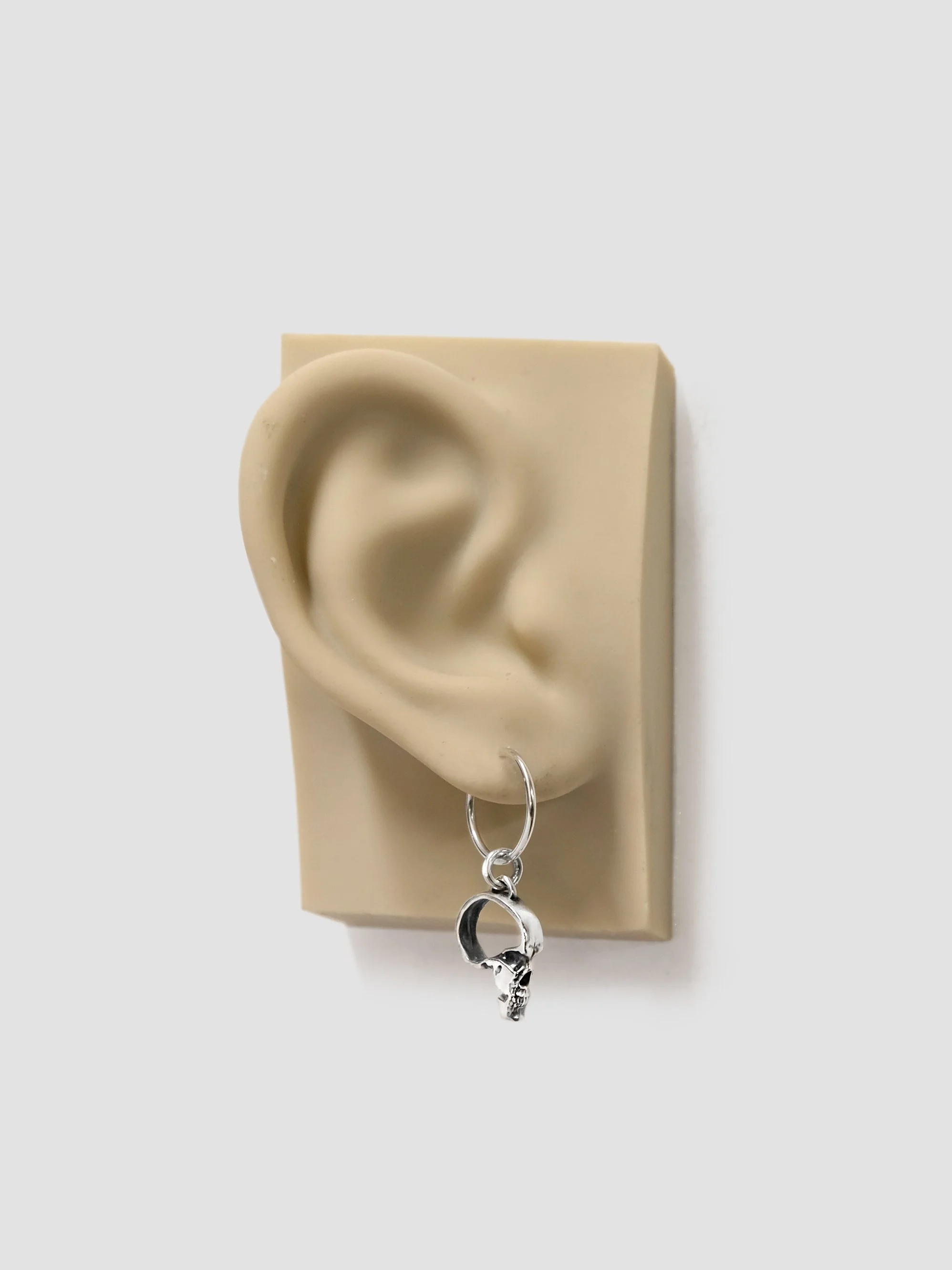 12.3 SEG SKULL IMAGE EAR.jpg