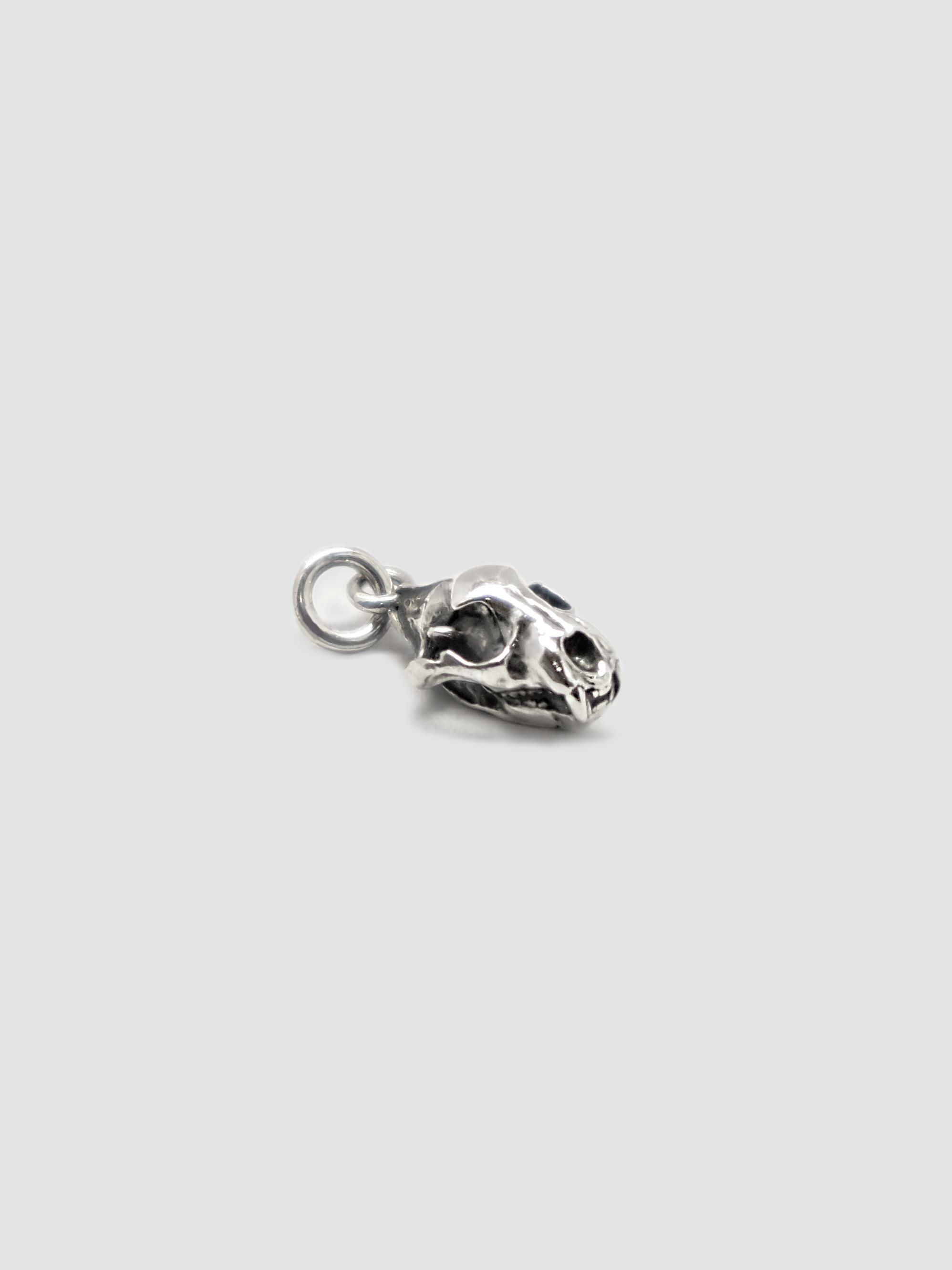 Lion Skull Charm