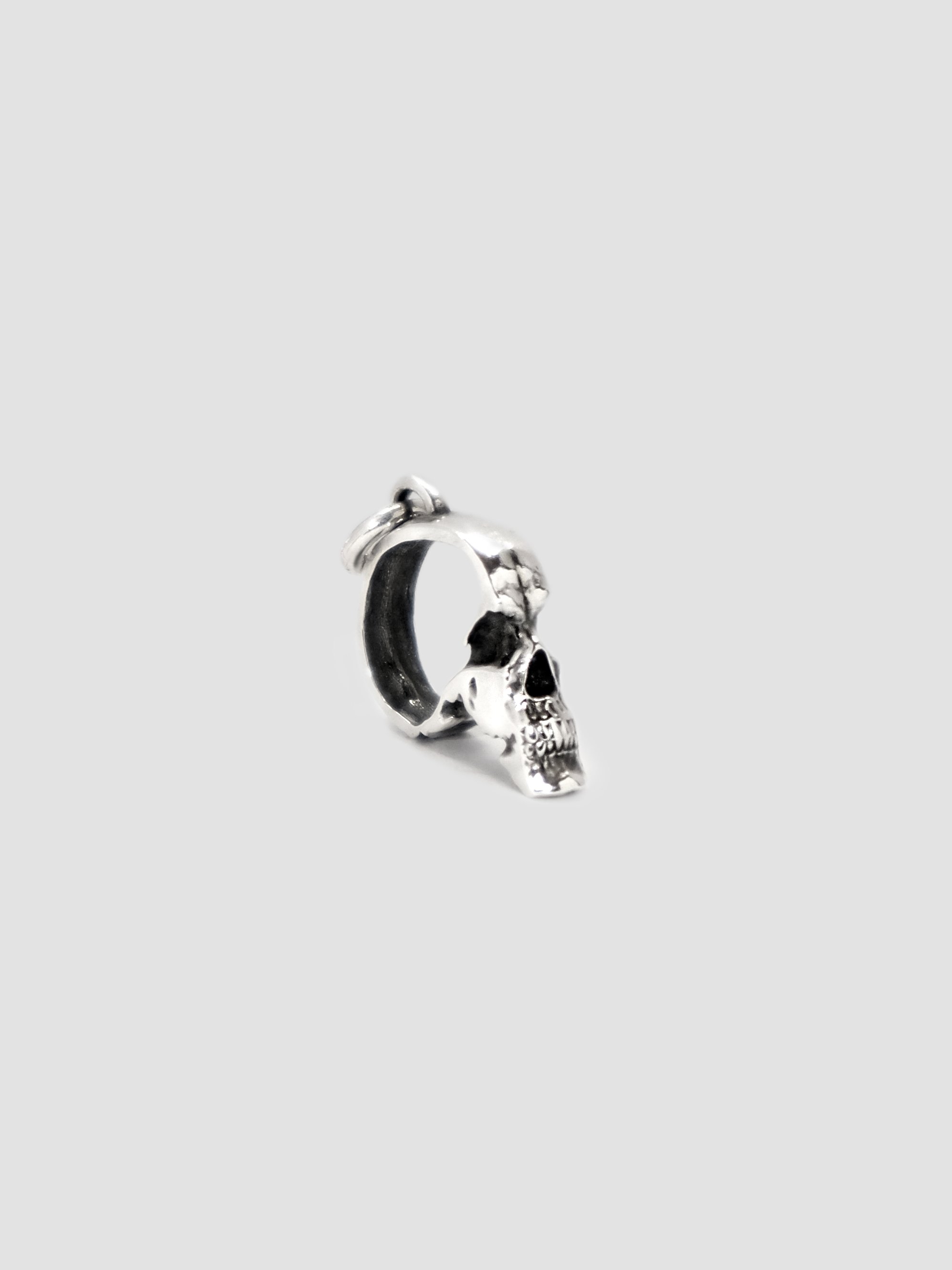 Segmented Skull Charm