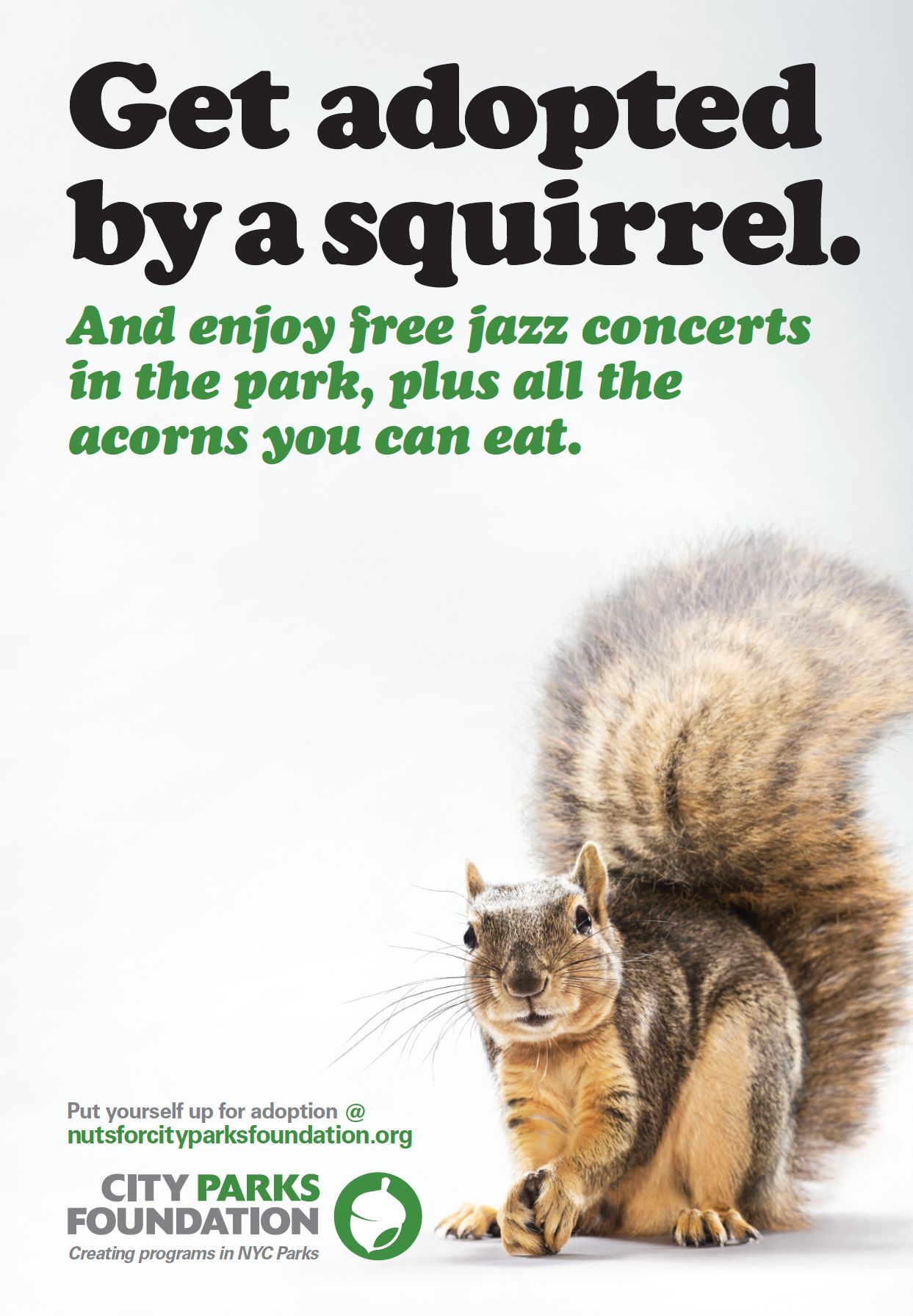 CPF_Acorns 1.png