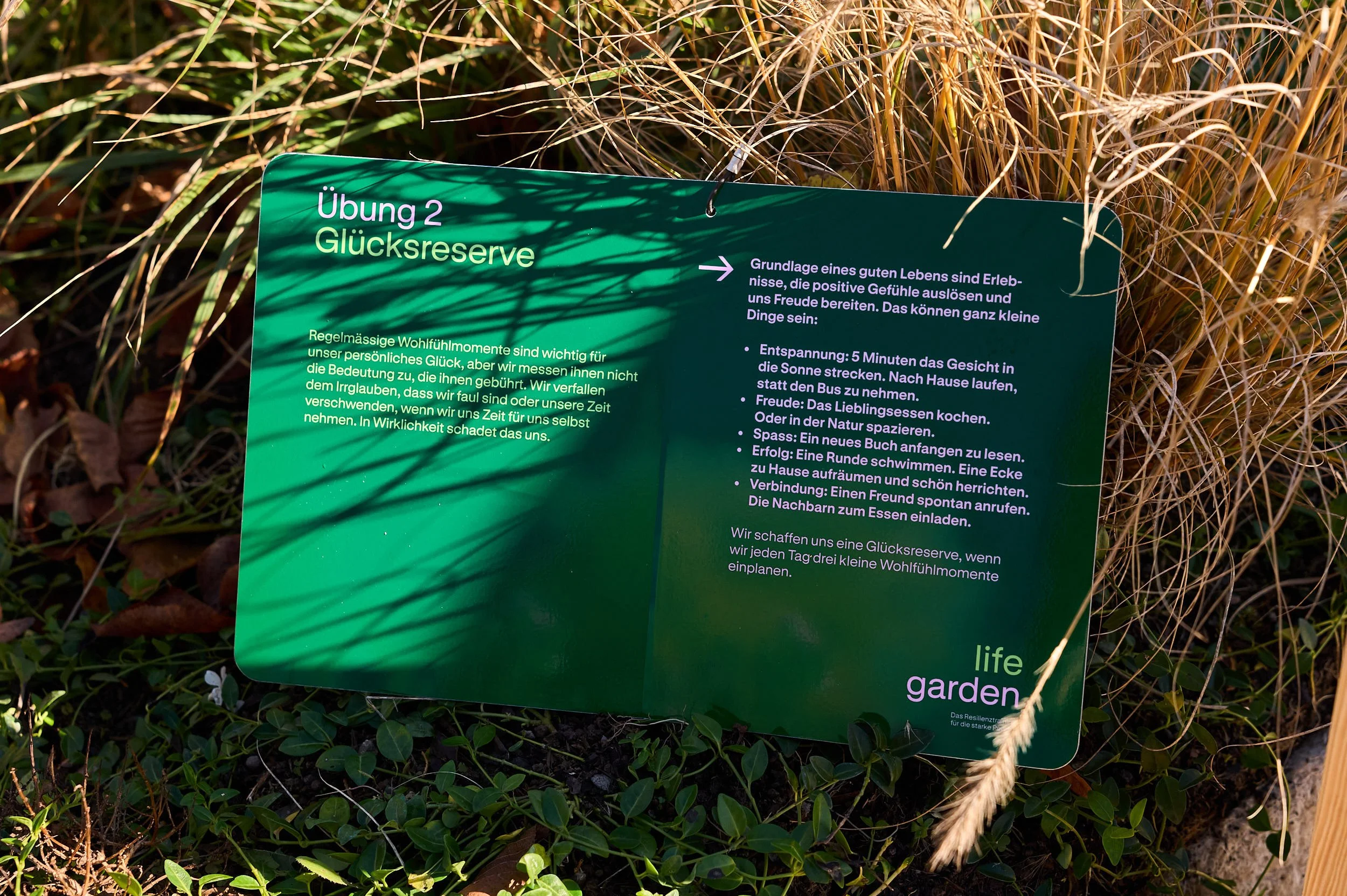 LIFEGARDEN 304.jpg