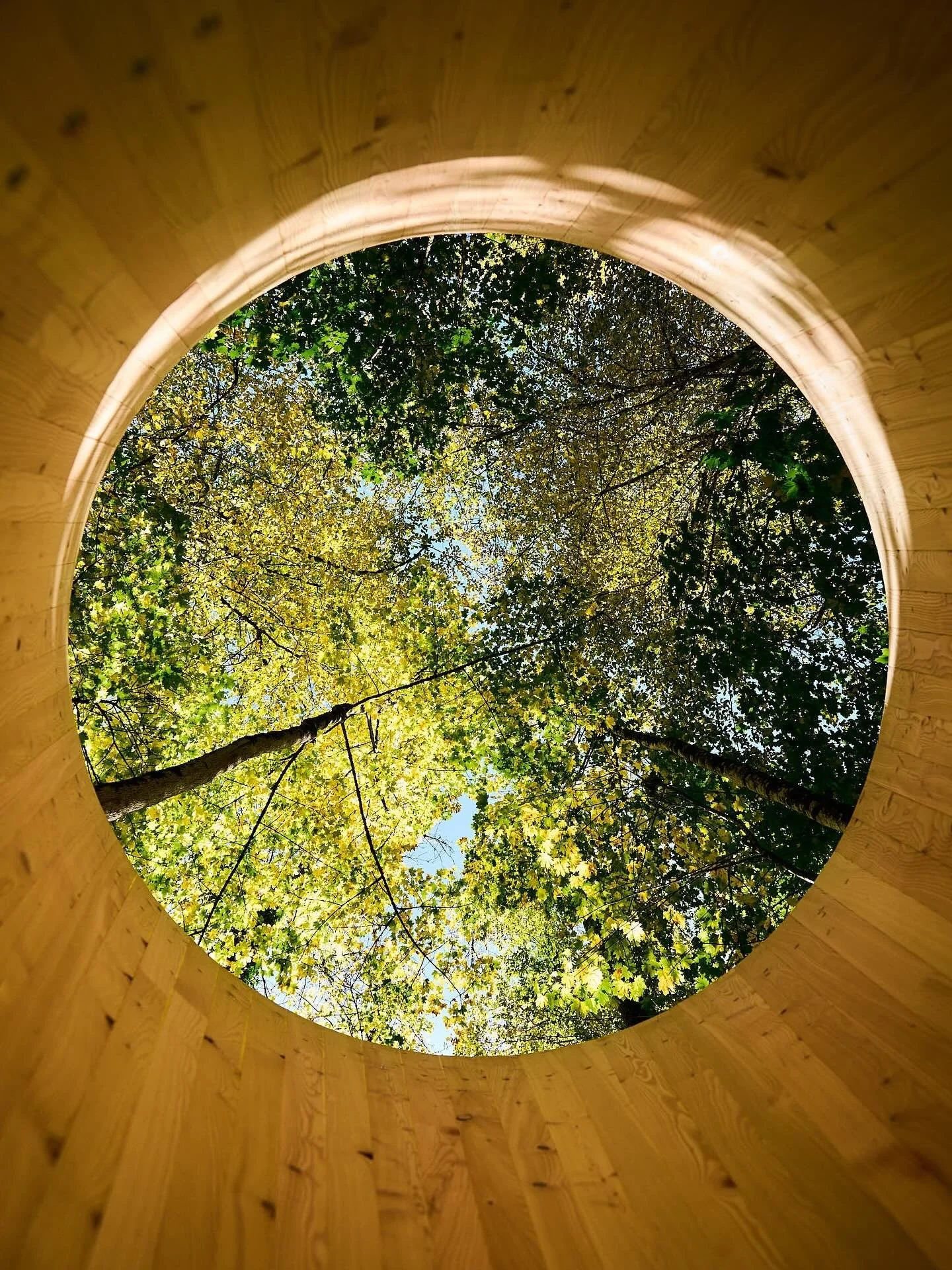 Re-Framing oder positives Umbewerten heisst es in der Resilienzforschung, wenn wir bewusst eine andere Perspektive auf bestehende Situationen einnehmen. Denn manchmal k&ouml;nnen wir eine Situation nicht &auml;ndern, aber&nbsp;unsere Sicht darauf. 

