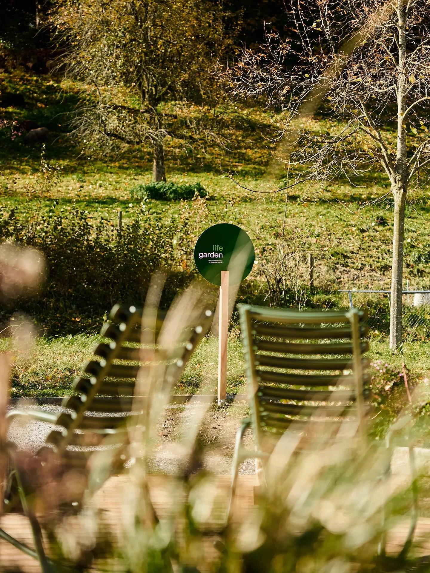 Bereits 15 Minuten im Gr&uuml;nen haben einen positiven Auswirkung auf unsere seelische Gesundheit. Studien zeigen, dass Gr&uuml;nfl&auml;chen wie Blumenbeete oder B&auml;ume sich positiv unser Wohlbefinden auswirken - besonders bei Menschen, die sic