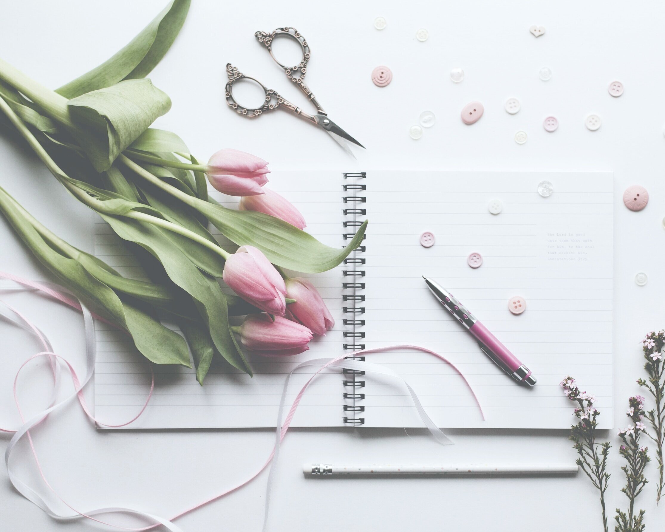 12 Quotes to Guide Your Spring Journaling 