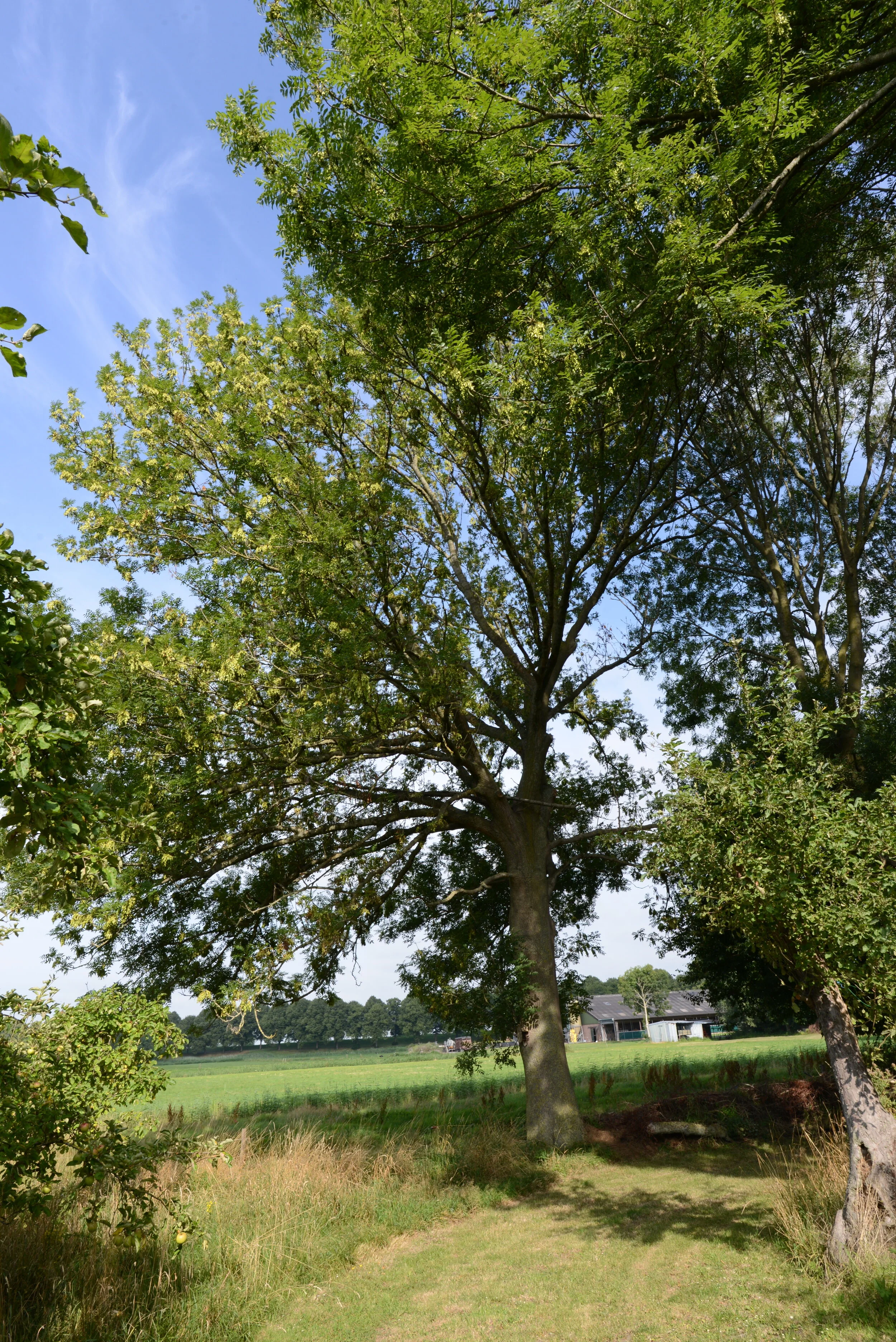 Vier Jahreszeiten - Sommer