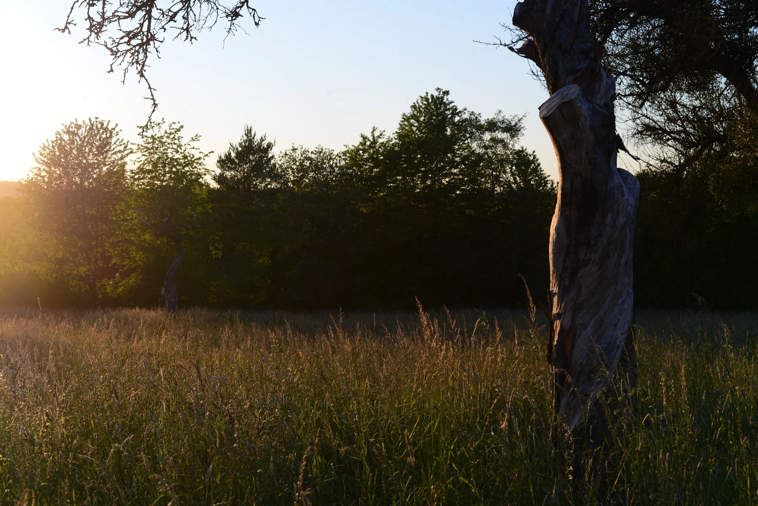 (Ausgebucht) Auf Anfrage - Geschlossen