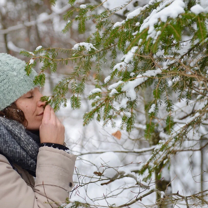 4 Jahreszeiten Shinrin-Yoku | Winter