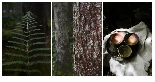 Day Retreat im Herbst