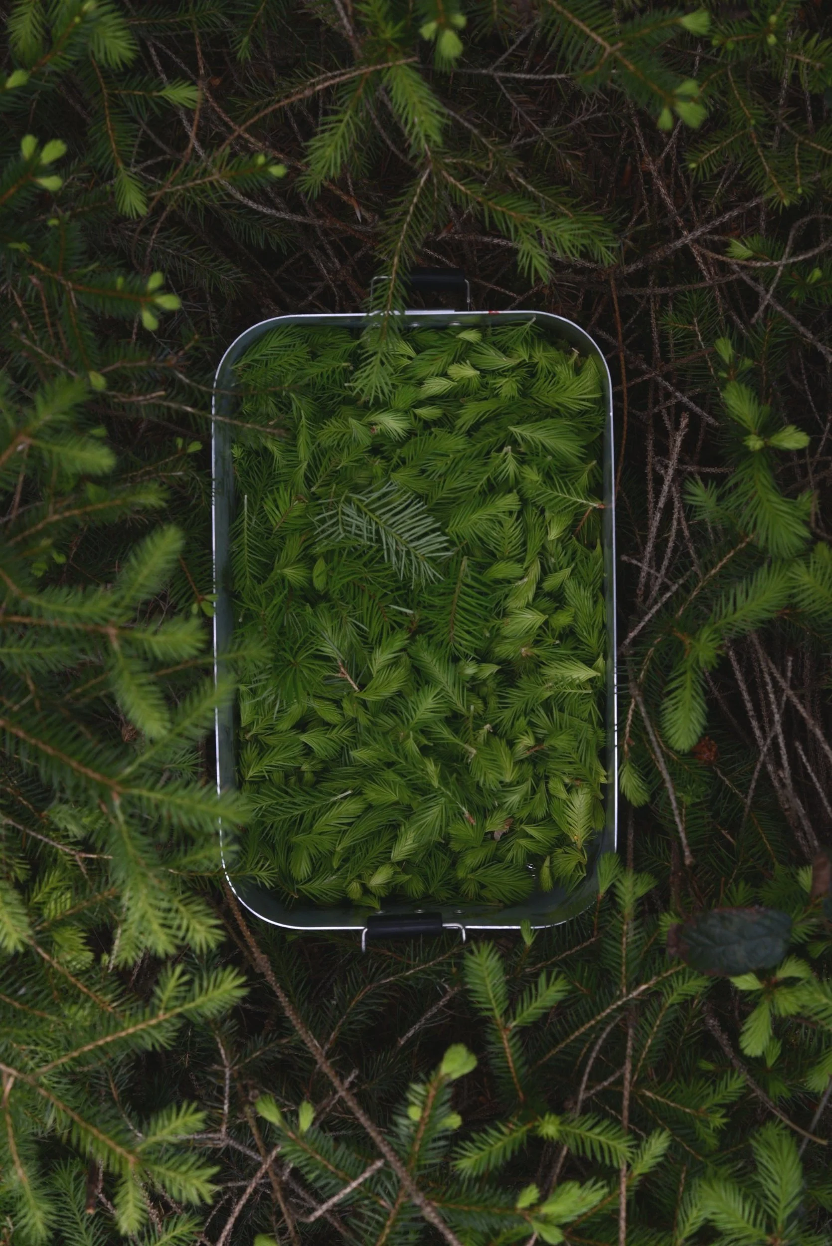 DSC_4635.jpg