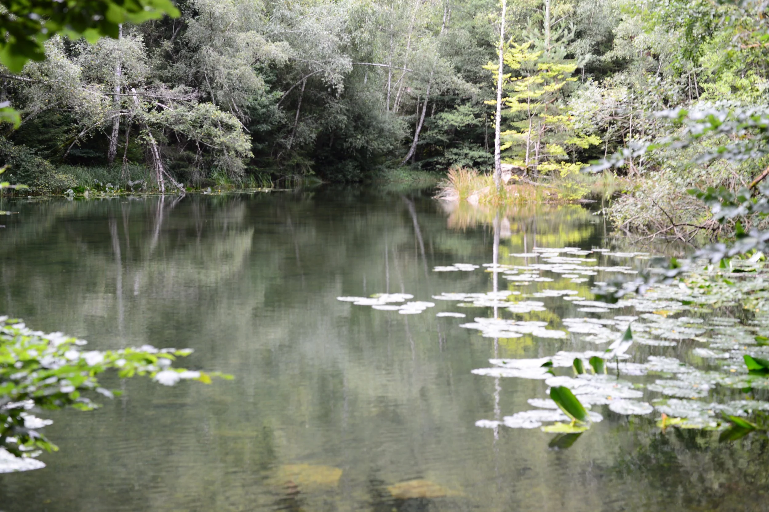 Summer Yoga Spirit I  Erde - Wasser - Luft - Feuer