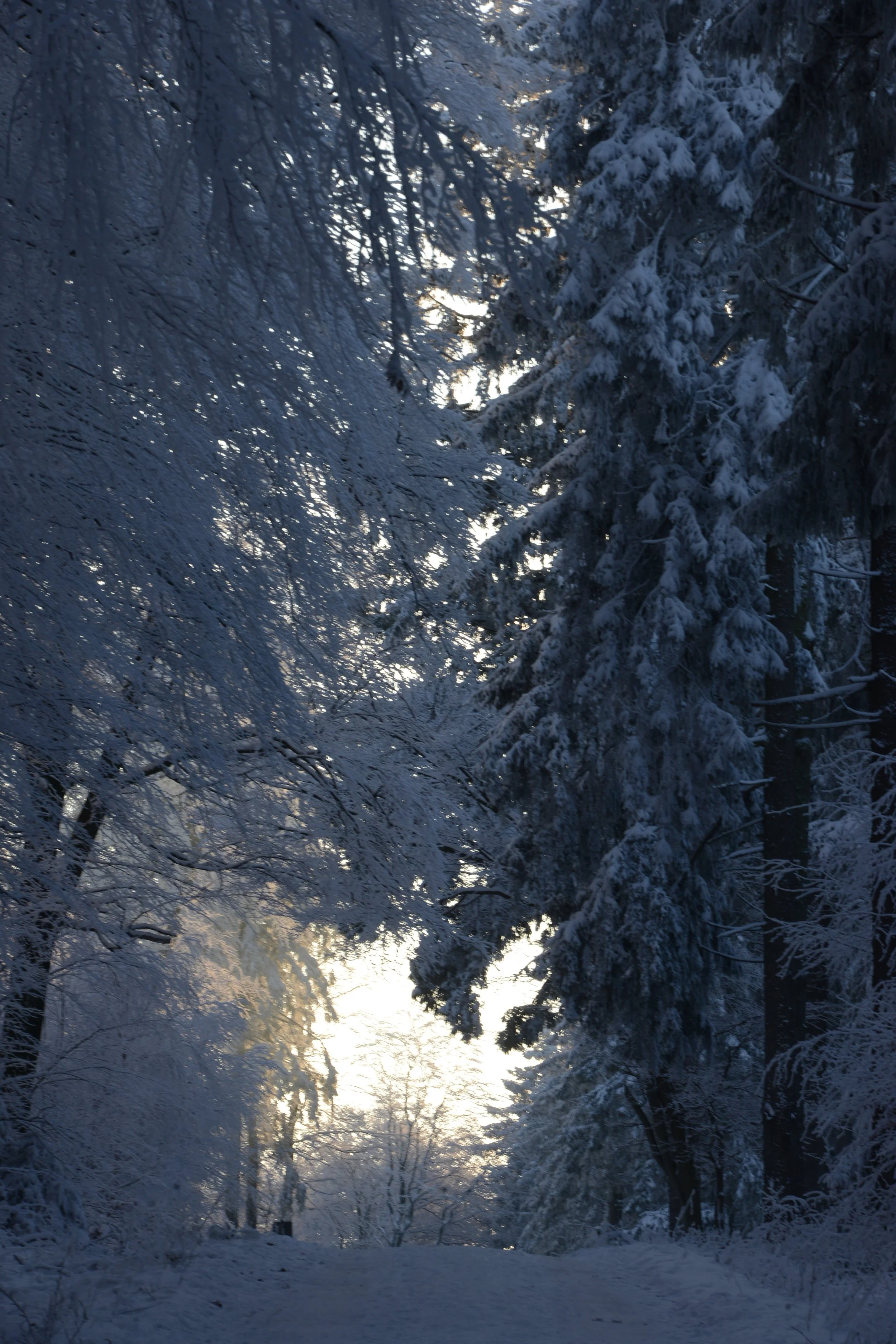 DSC_5050.JPG