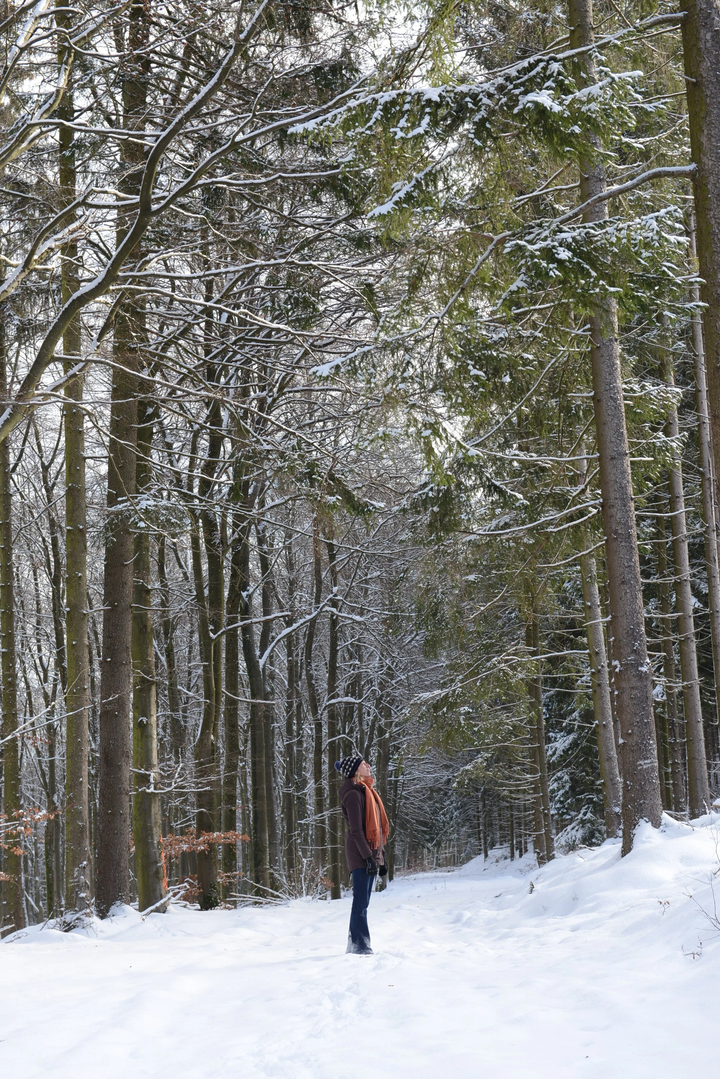 Winter.JPG
