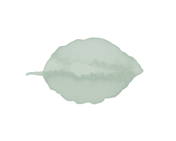 blaadjes4.png