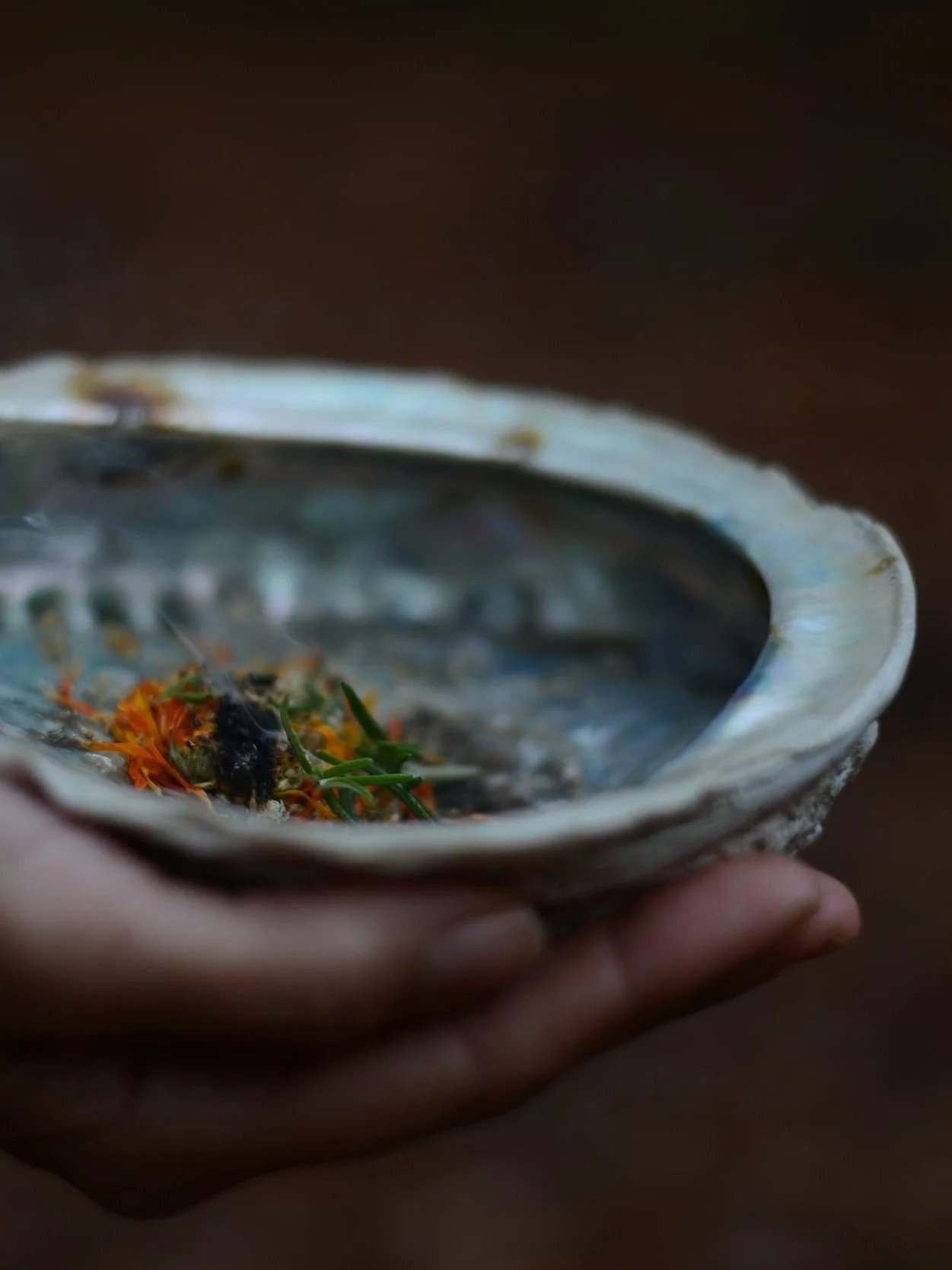 21. Dezember I 18:00 - 20:30Uhr I Gemeinsame Eröffnung einer zauberhaften Reise durch die 12 Raunächte