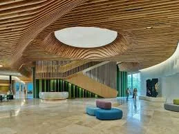 Whole Health Institute