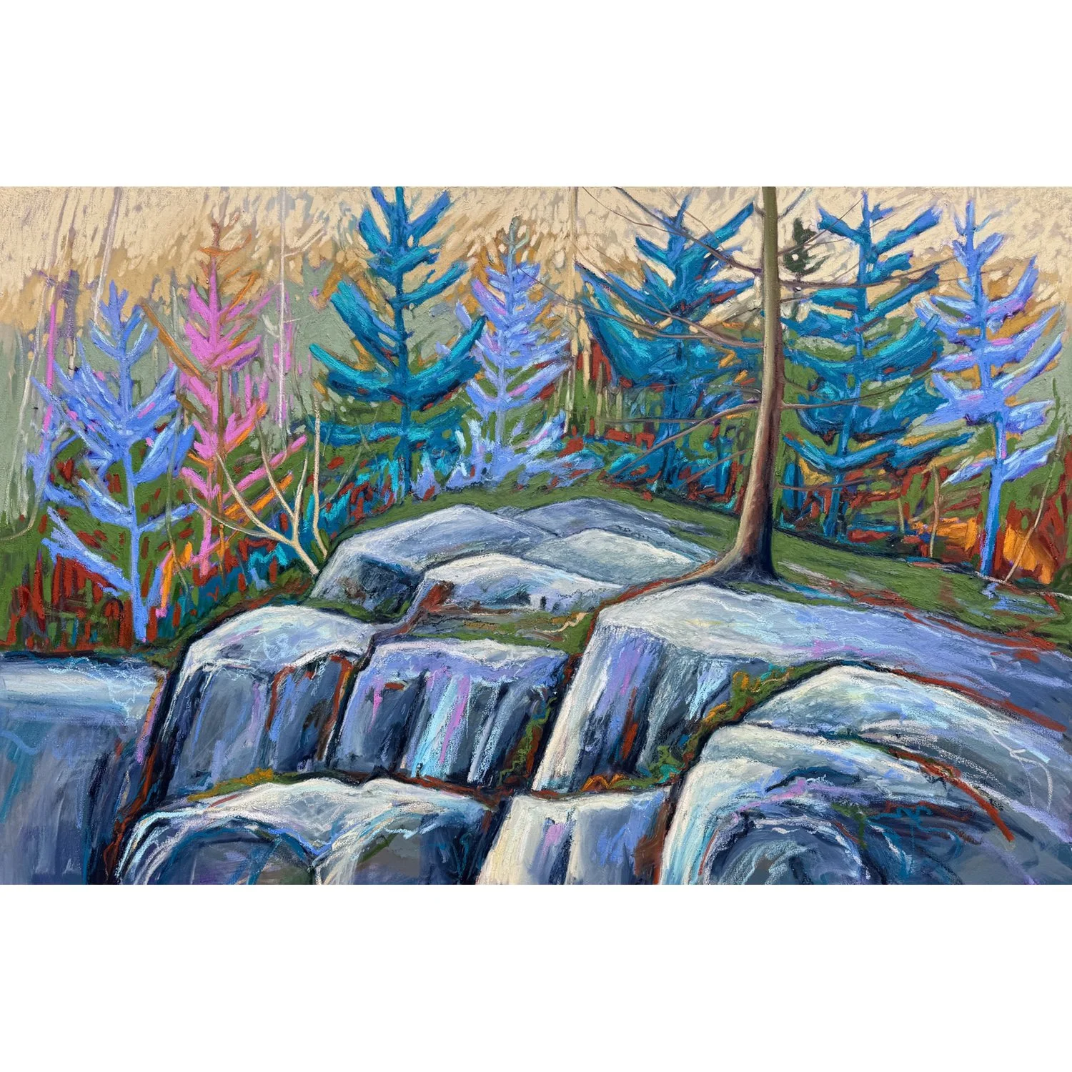 Shane Norrie "Canadian Shield" oil on canvas, 40" x 60"
