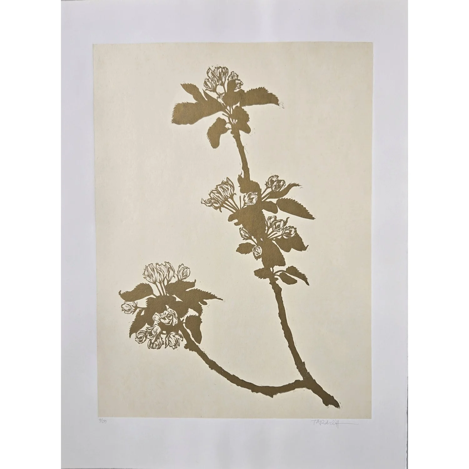 Tammy Ratcliff "Crabapple Branch" relief print/chine collé, 30" x 22"