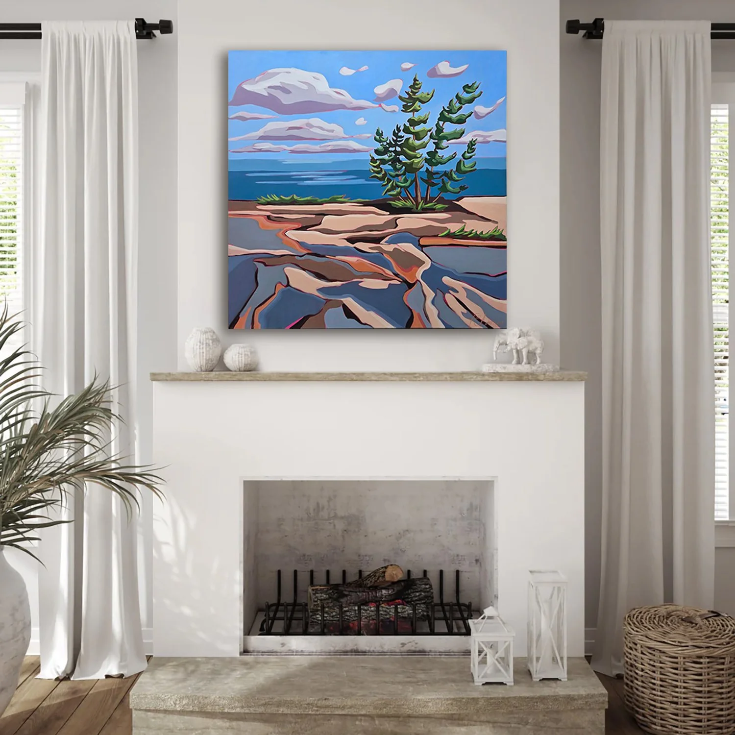 Clemmens in situ 1.jpg