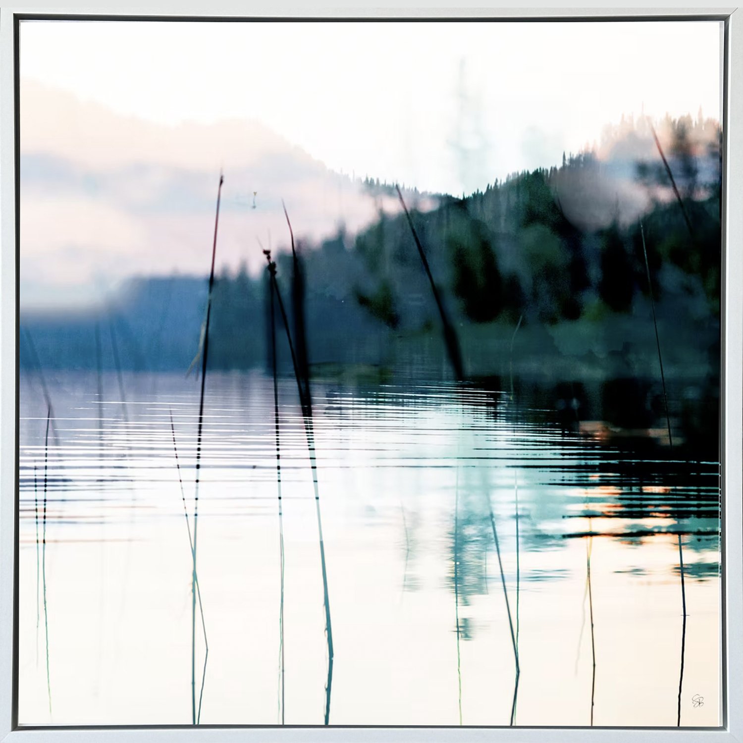 Stacey Bodnaruk "Good Morning" limited edition multi-image photography on archival quality chromaluxe aluminium, 36" x 36"