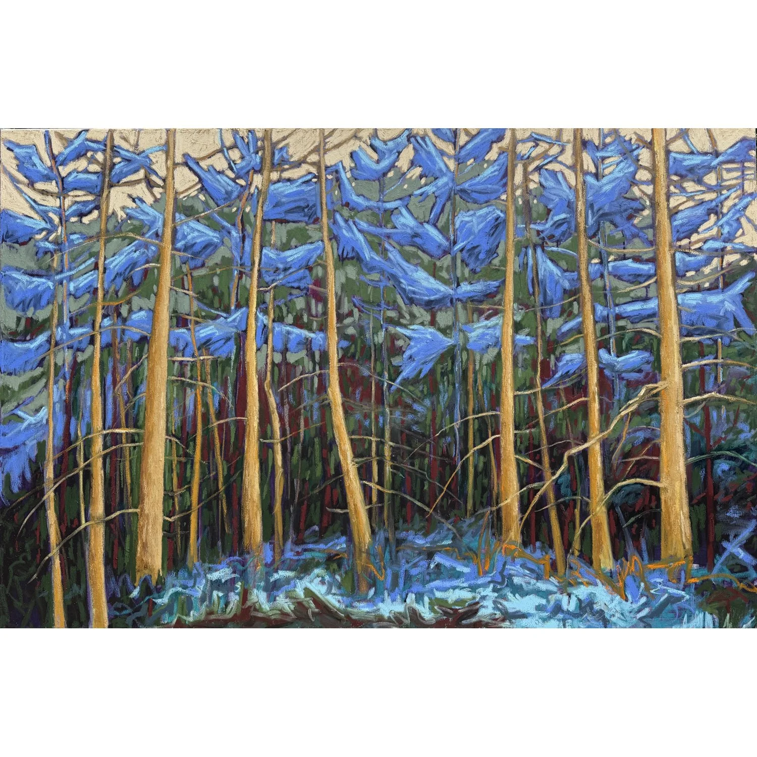 Shane Norrie "Woodland Grove" oil on canvas, 40" x 60"