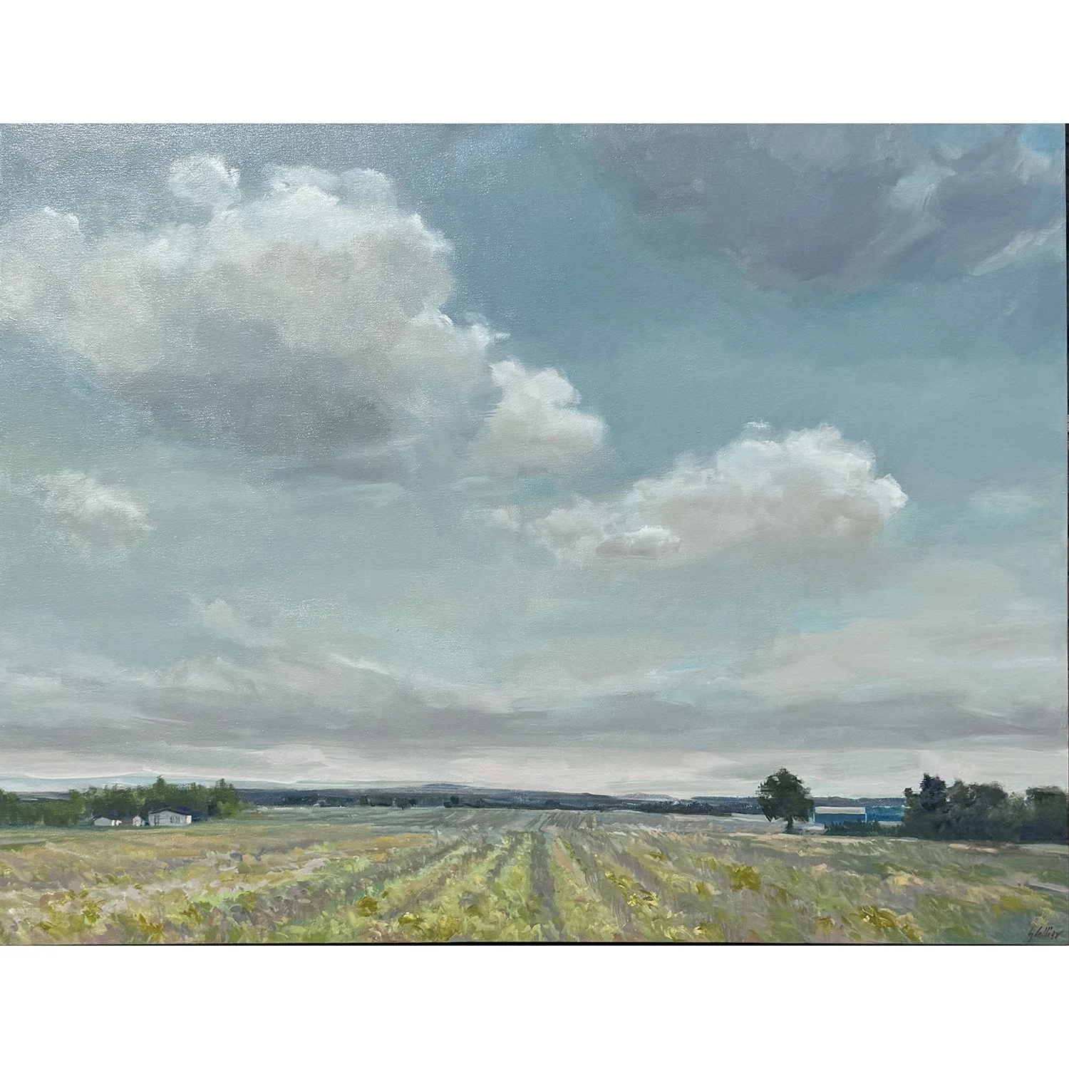 Gabriella Collier "Niagara Vineyard" acrylic on canvas, 46" xx 60"