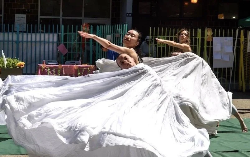 Harborview Terrace community garden Performance