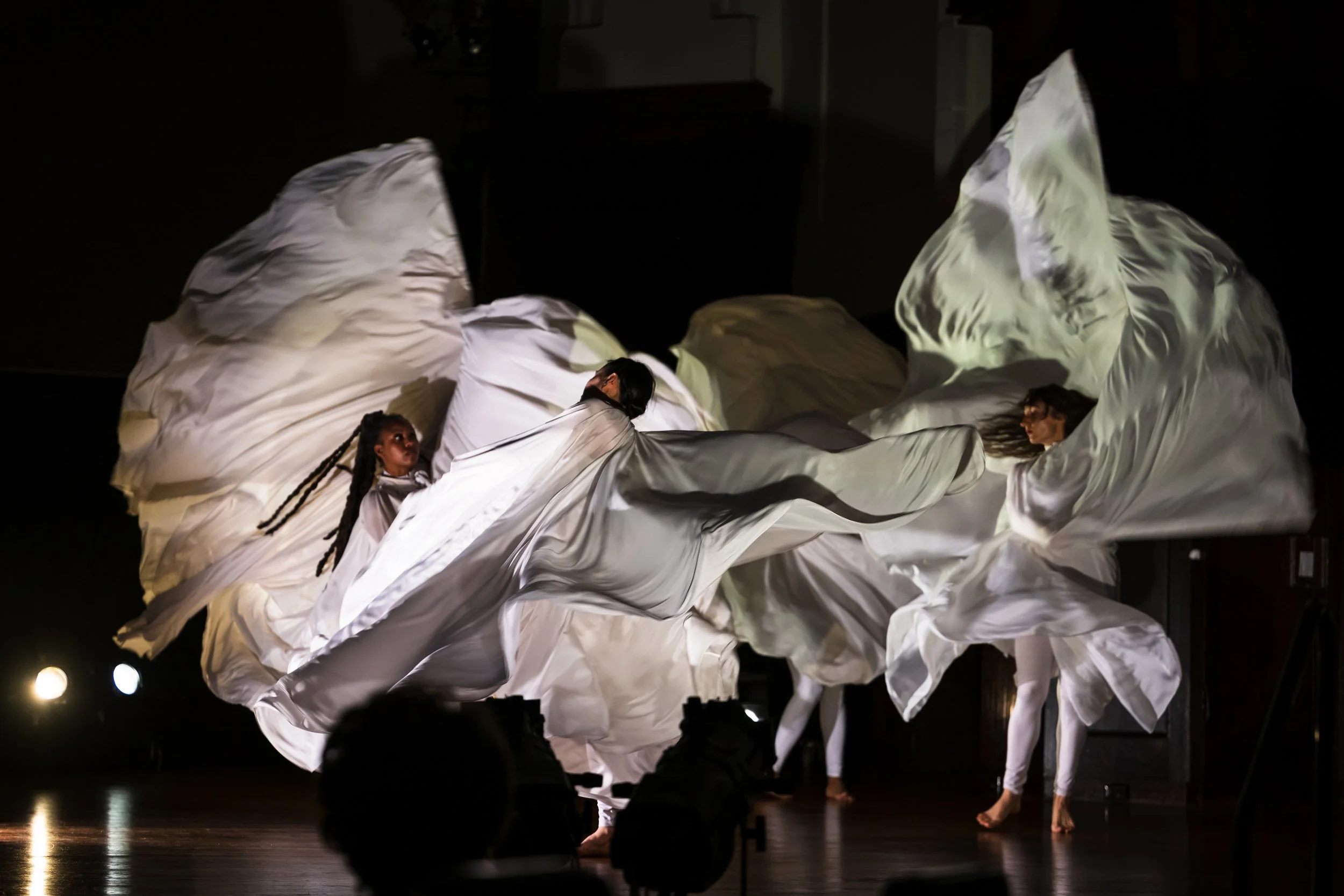 Fractal Memories, photo by Richard Velasco