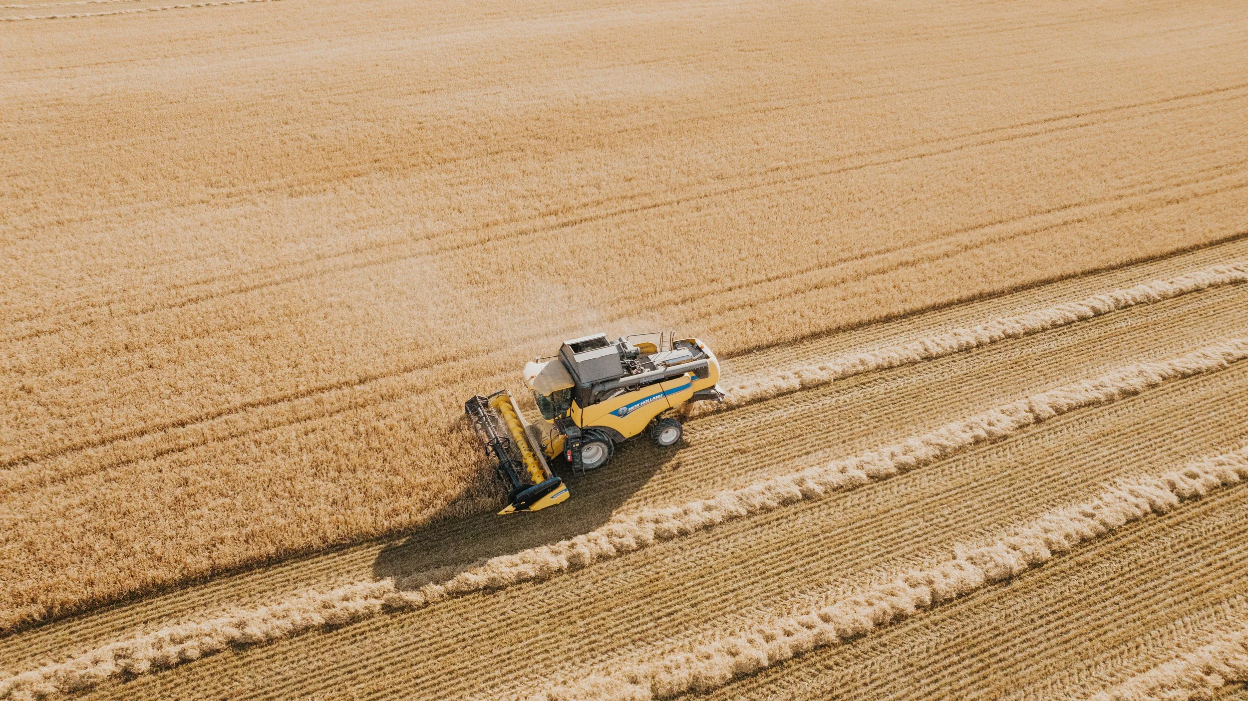 DJI_0776.JPG