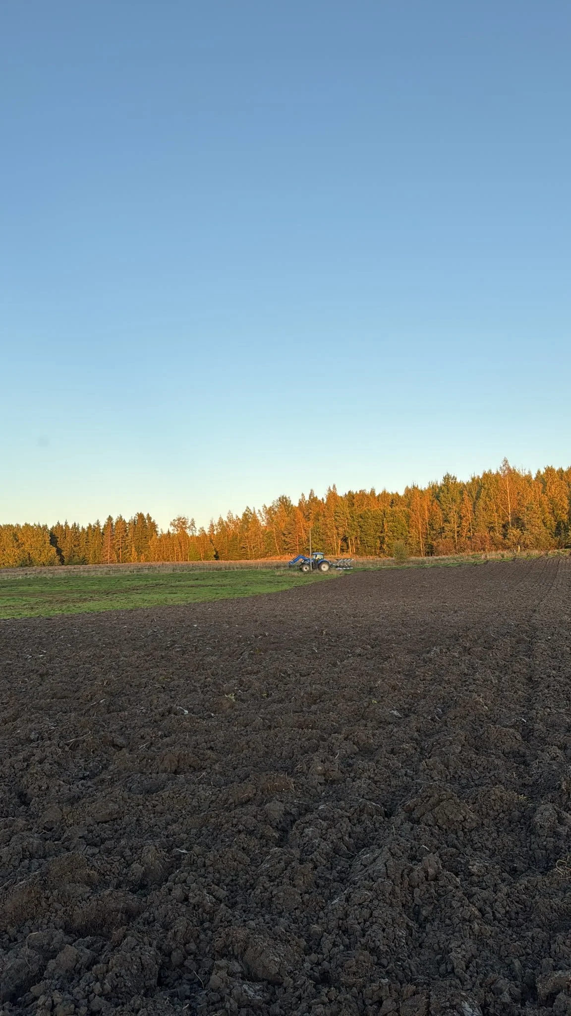 05fbbcb9-6e5e-4440-b145-278b313dbaf6.JPG