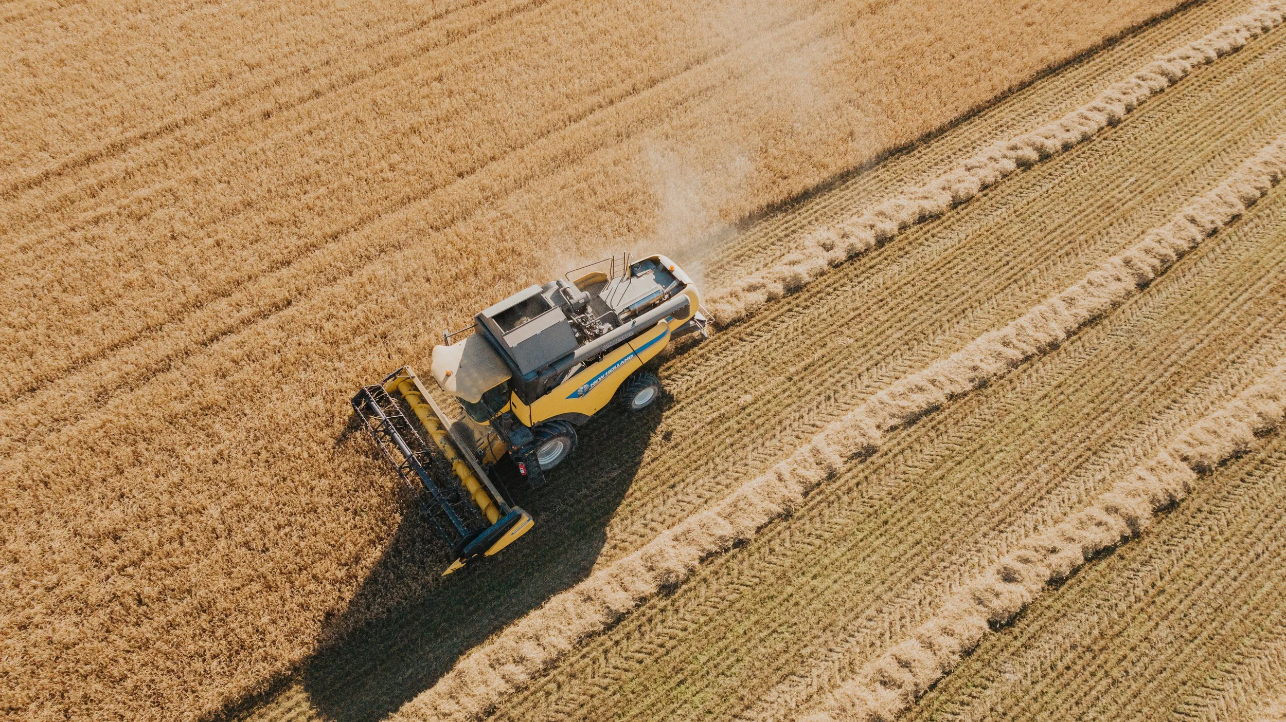 Ilmakuva sadonkorjuukoneesta pellolla.