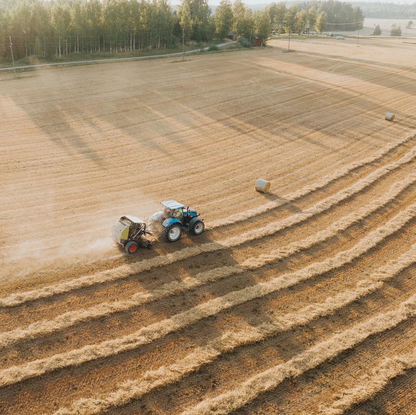 Traktori pellolla paalaamassa heinäpaaleja auringonlaskun aikaan, taustalla metsärajaa.