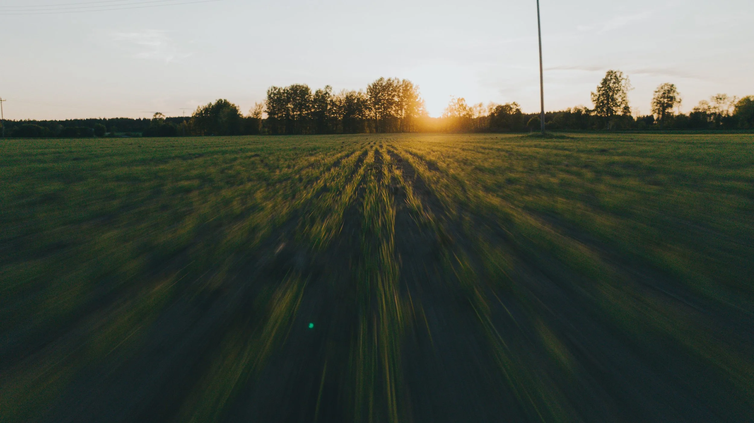 Näkymä pellolta auringonlaskun aikaan, etualalla sänkimäinen maasto, taustalla puita horisontissa.