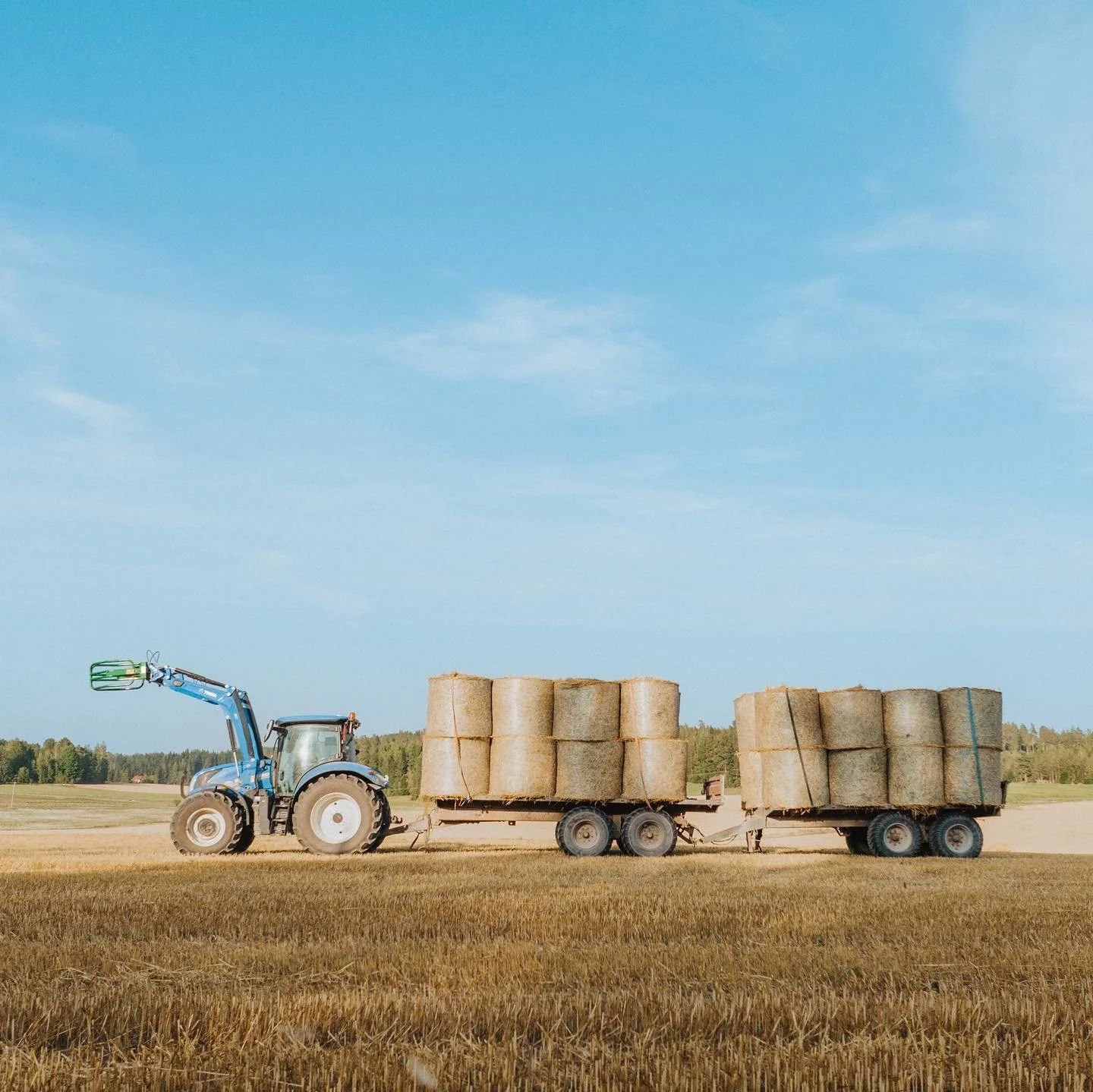 Traktori kuljettaa pyöröpaaleja pellolla.