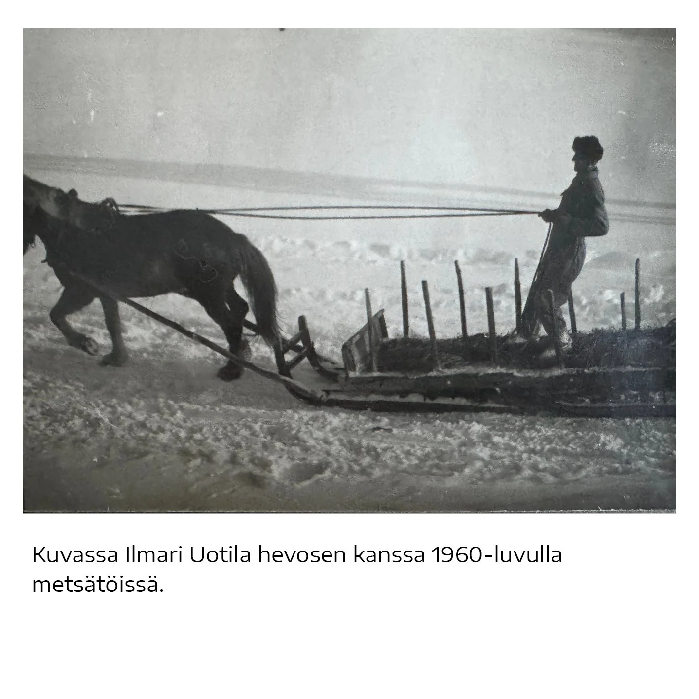 Pieni kyltti7.jpg
