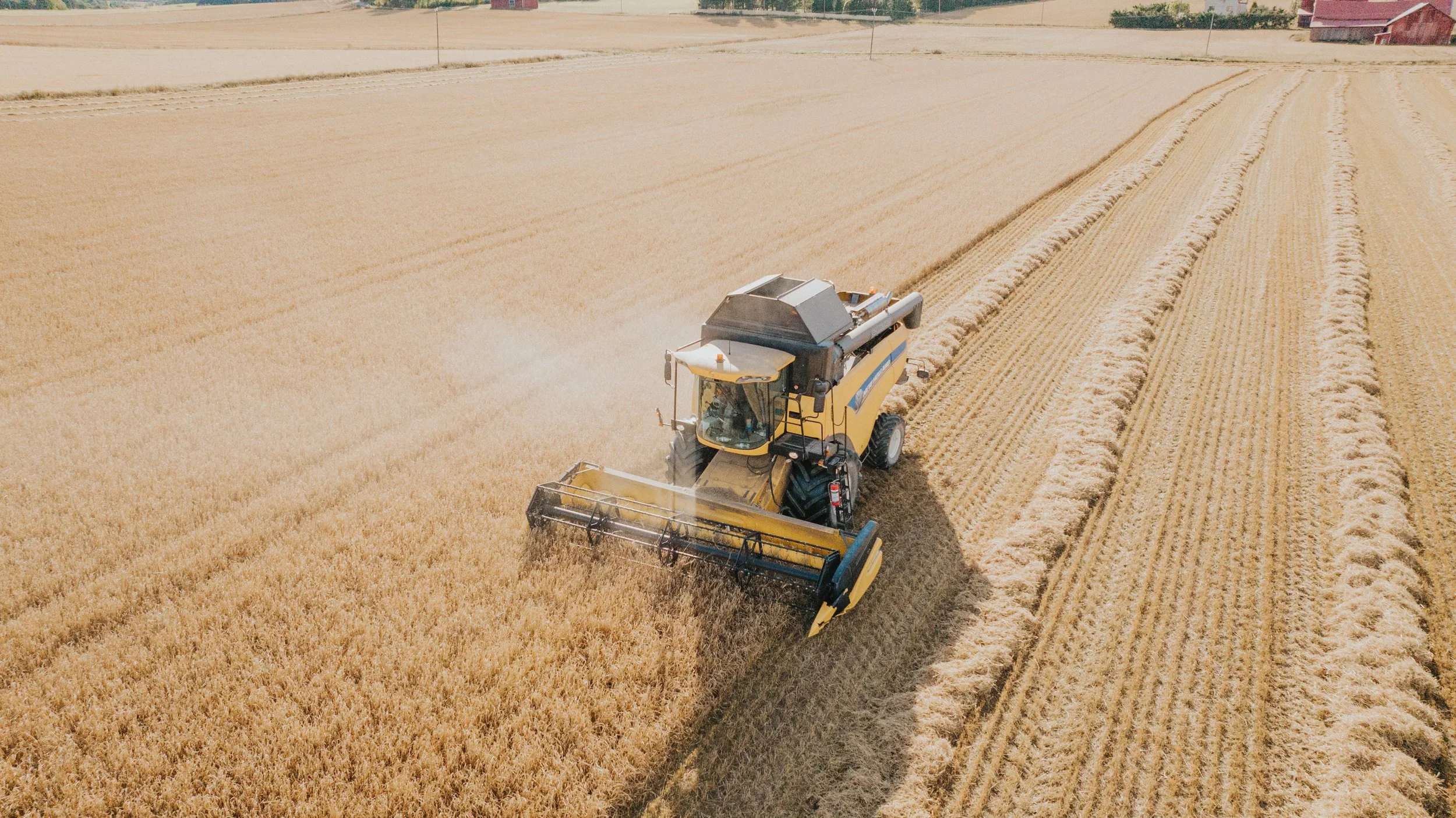 Kombajni pellolla sadonkorjuussa.