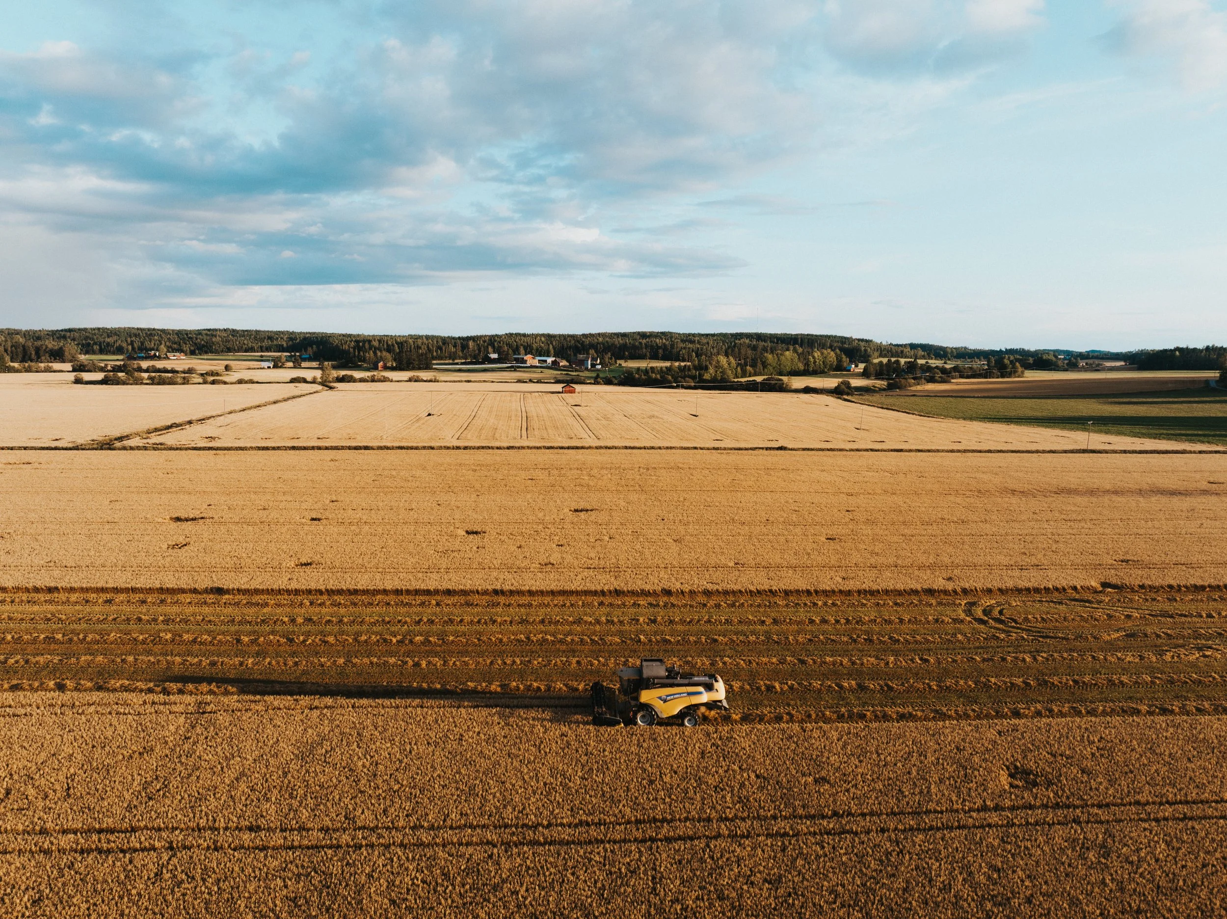 DJI_20250825184514_0022_D.jpg