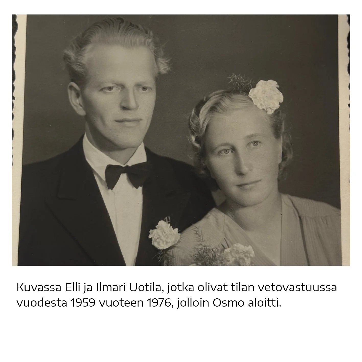 Pieni kyltti6.jpg