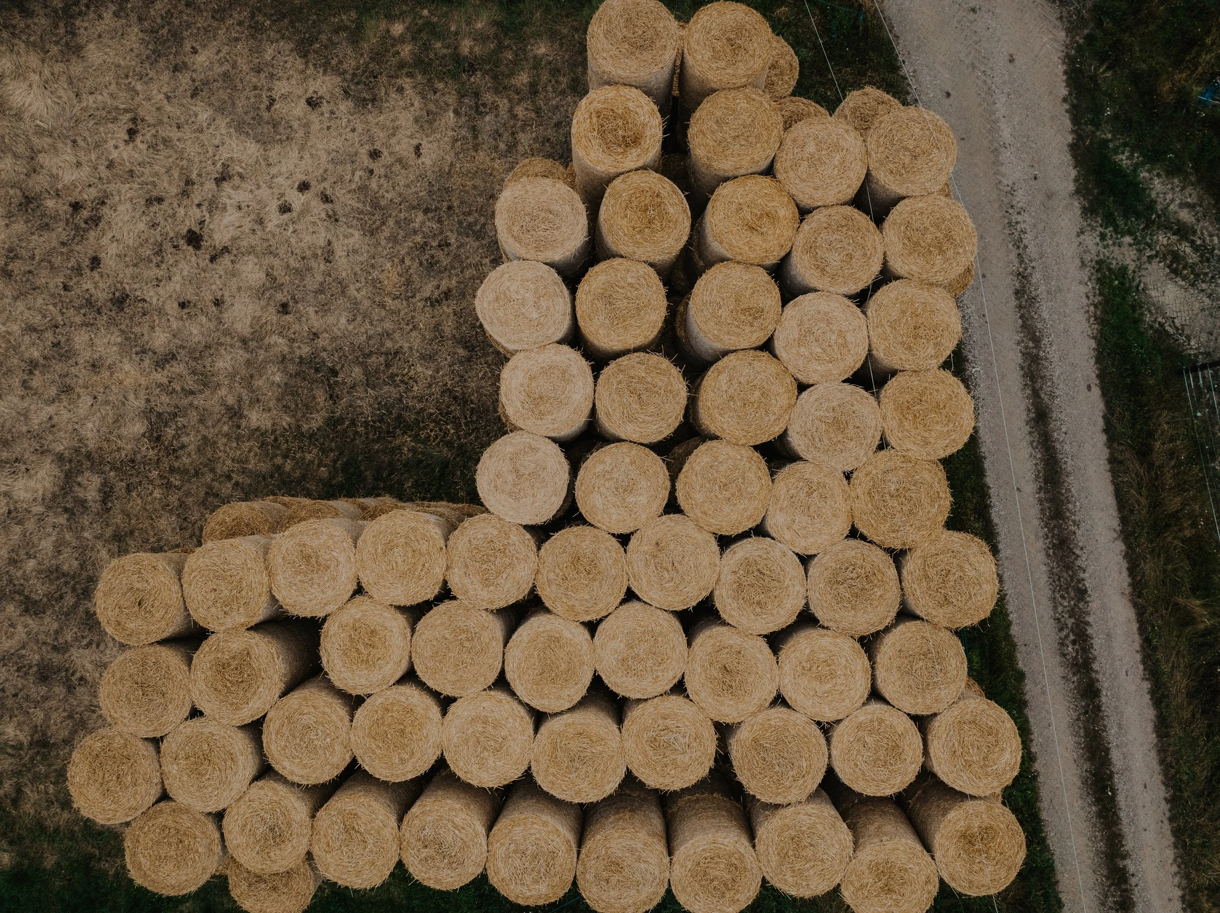 DJI_0950.jpg