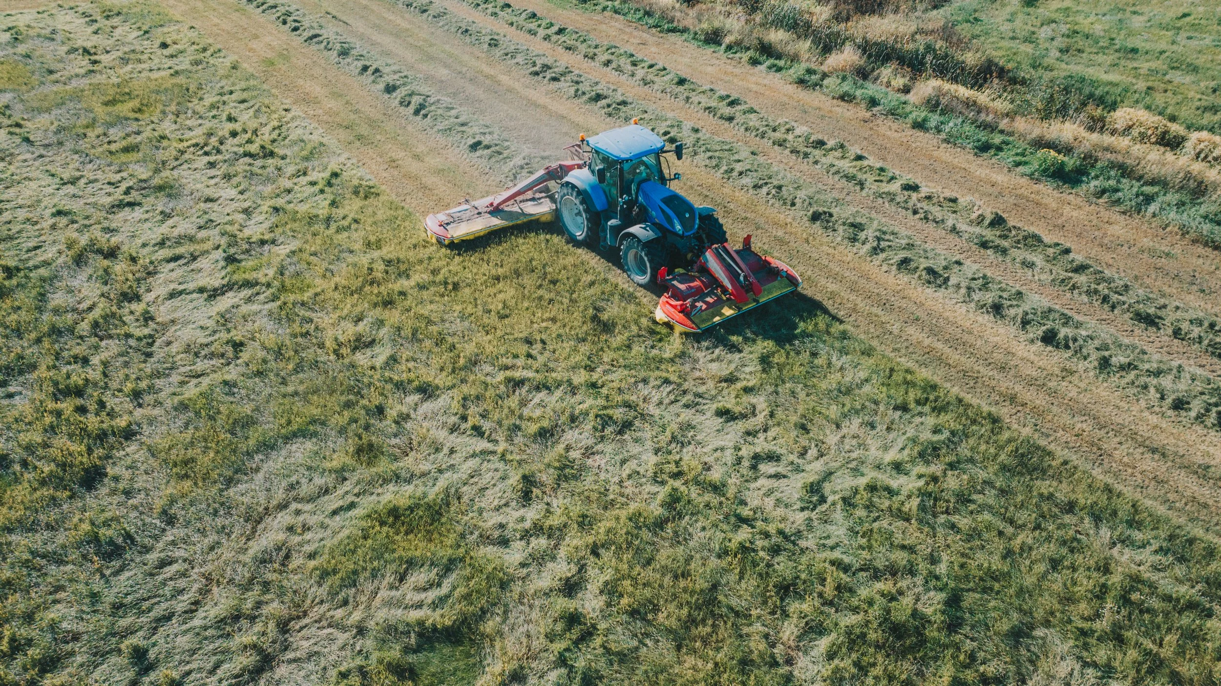 Traktori niittää ruohoa pellolla.