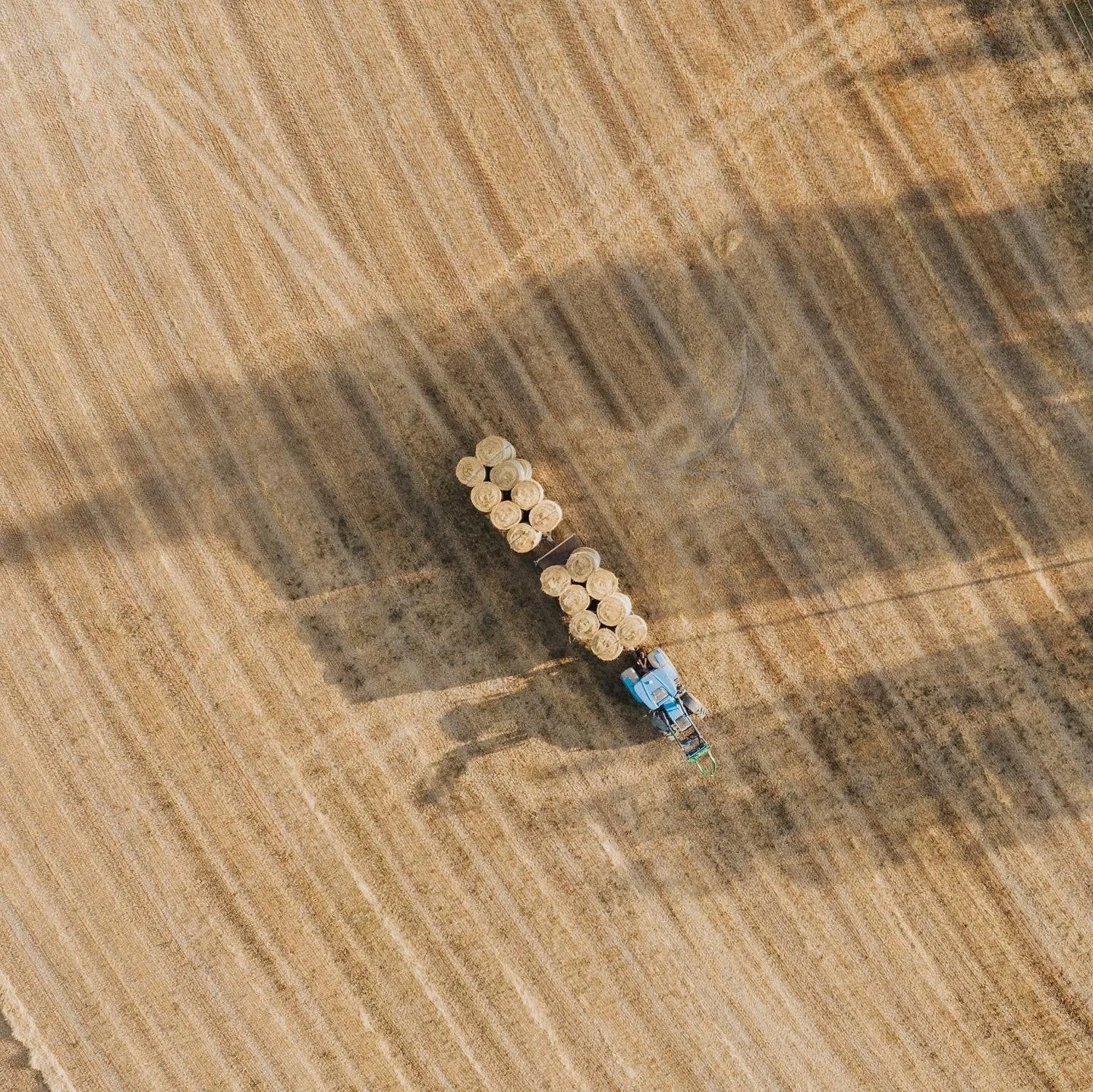 Ilmakuva pellolta, jossa traktori vetää peräkärryä täynnä pyöreitä heinäkääreitä. Pellon pinta on vaaleanruskea ja siinä on ajouria.