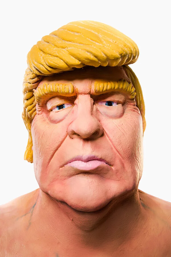 Trump Website NSLTR.jpeg