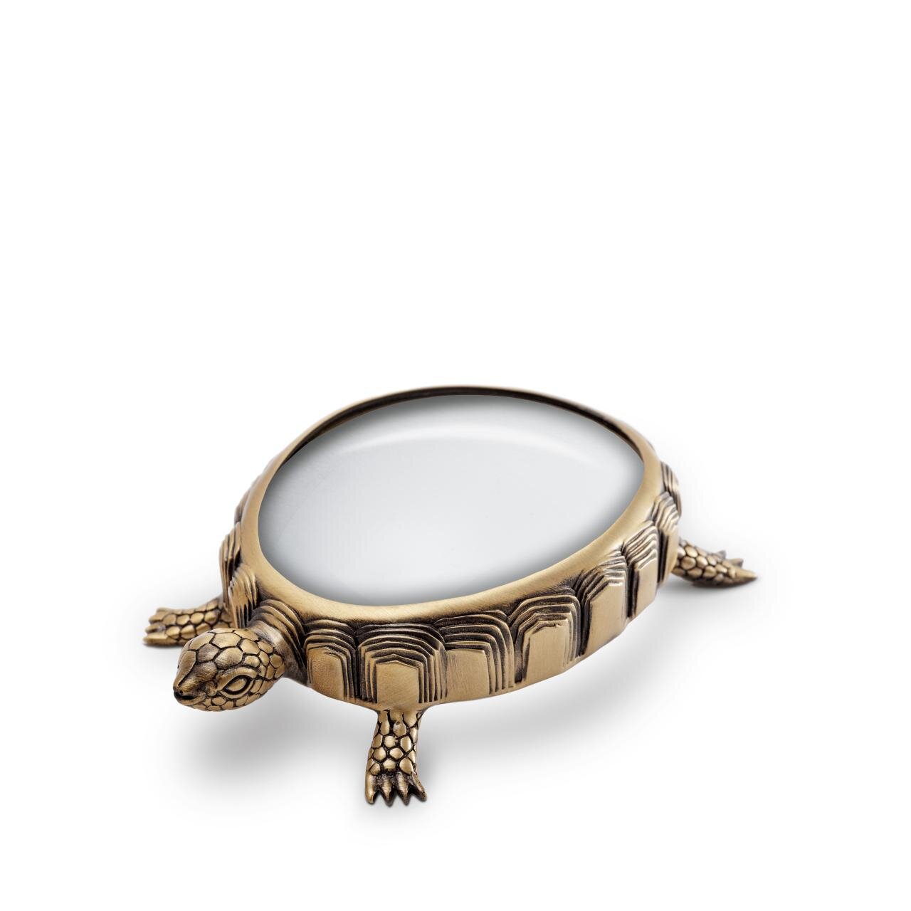 turtle loop 3.jpg
