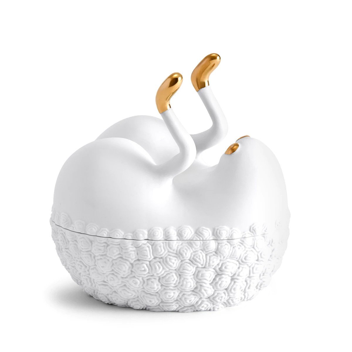 white butt 2.jpeg