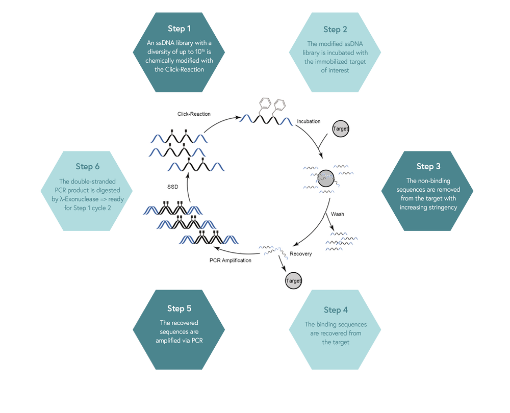 Clickmer Systems — APIS Assay Technologies Ltd