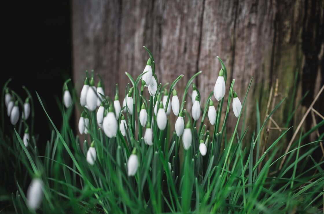 Quietly Stirring Into Life