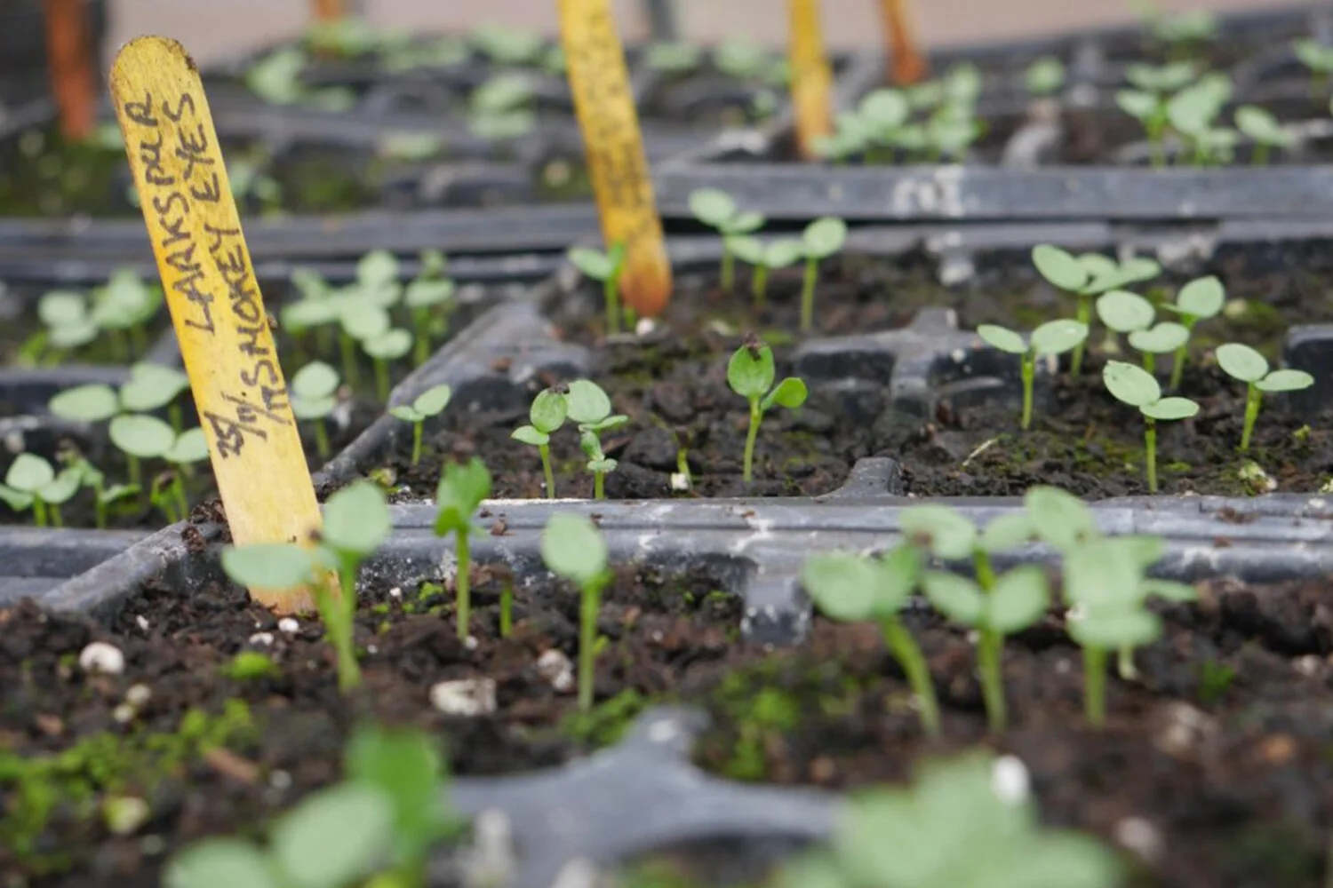 An Indoors Sort of Week