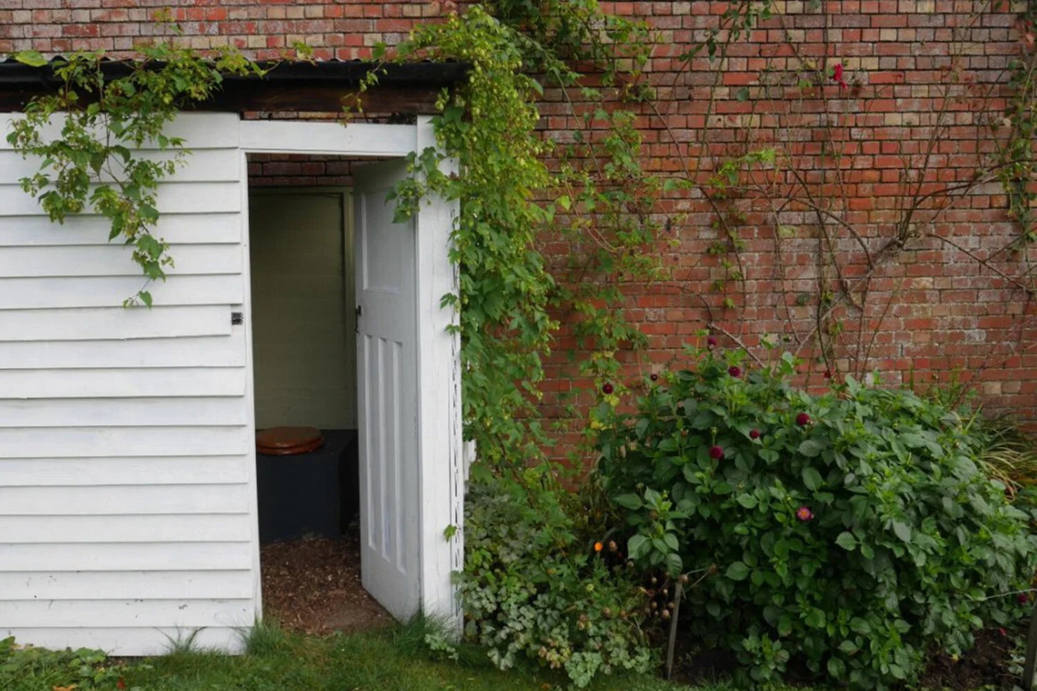 compost loo.jpeg