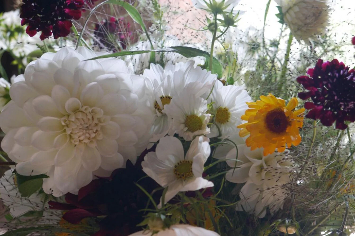 mixed dahlias.jpeg