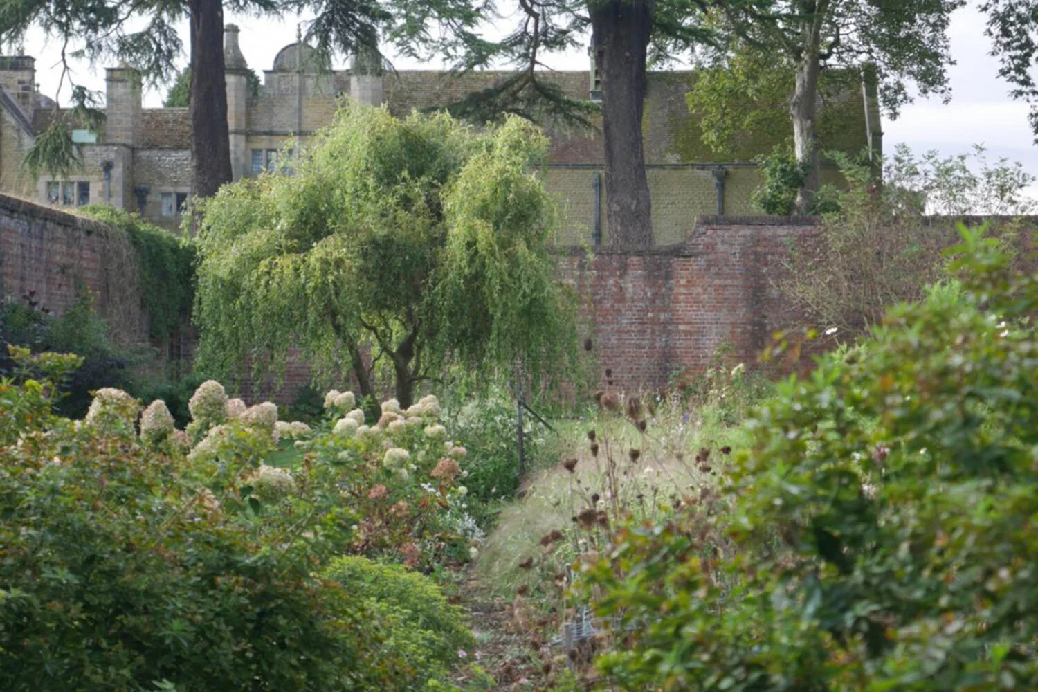 September garden 3.jpeg