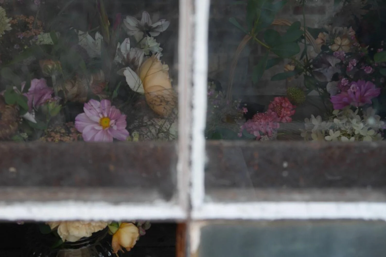 bouquets through glass.jpeg